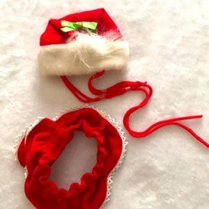 MRS CLAUS SKIRT and HAT